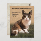 Cat-Easterbunny 😸 🐰 Postkarte (Vorne/Hinten)