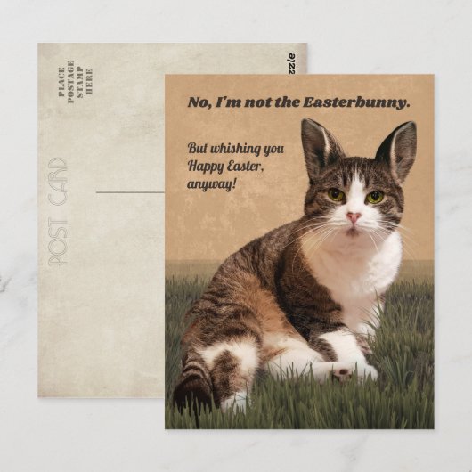 Cat-Easterbunny 😸 🐰 Postkarte (Vorne/Hinten)