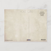 Cat-Easterbunny 😸 🐰 Postkarte (Rückseite)