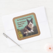 Cat-Easterbunny 😸 🐰 Quadratischer Aufkleber (Umschlag)
