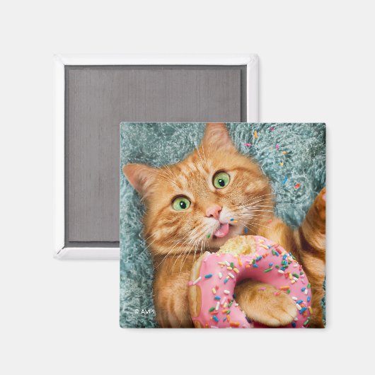 Cat Eating Donut Magnet (Vorderseite/Rückseite)