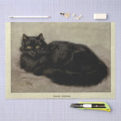 Cat Ephemera Decoupage Black Persian Seidenpapier (Handwerk)