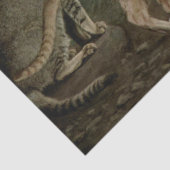 Cat Ephemera Decoupage Brown Orange Tabby Seidenpapier (Detail)