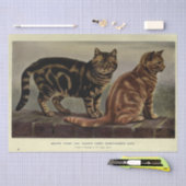 Cat Ephemera Decoupage Brown Orange Tabby Seidenpapier (Handwerk)
