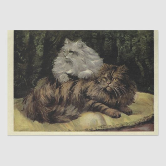 Cat Ephemera Decoupage Brown Tabby Silver Persian Seidenpapier (Vorderseite)
