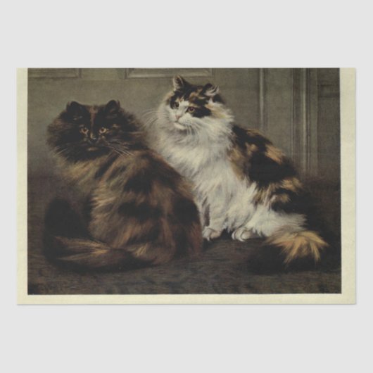 Cat Ephemera Decoupage Tortoiseshell Schwarz-weiß Seidenpapier (Vorderseite)