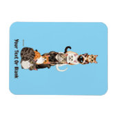 Cat-Er-Pillar Felinturm Magnet (Horizontal)