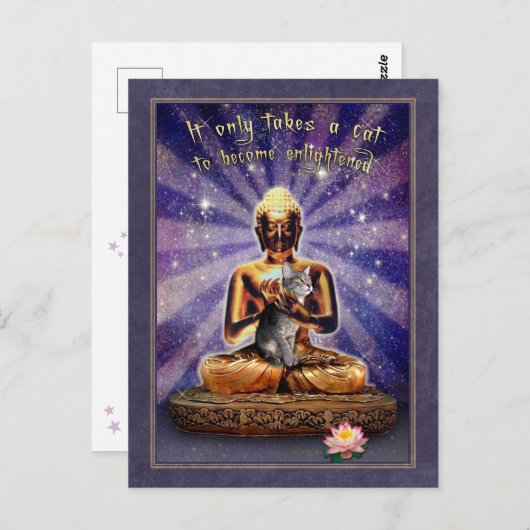 Cat Erleuchtung Postkarte (Vorne/Hinten)