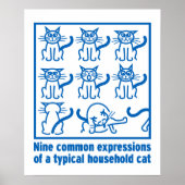 Cat Expressions Poster (Vorne)