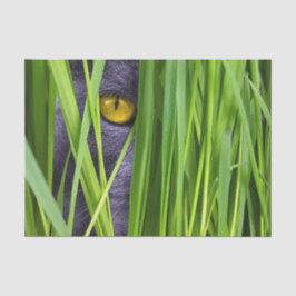 Cat Eye Grass Seidenpapier