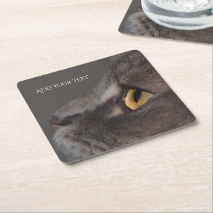 Cat Eye-Macro by Shirley Taylor Square Rechteckiger Pappuntersetzer