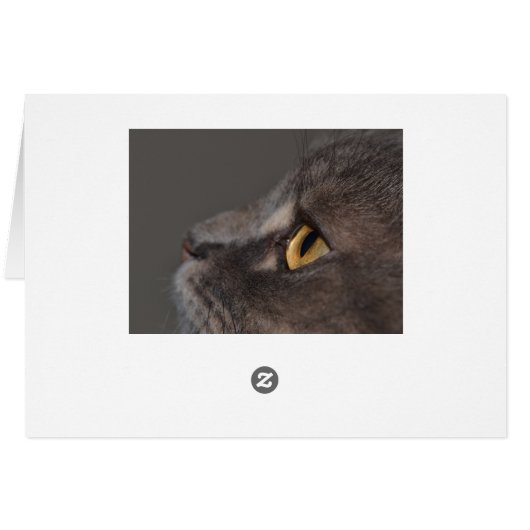 Cat Eye-Macro von Shirley Taylor (Rückseite Horizontal)