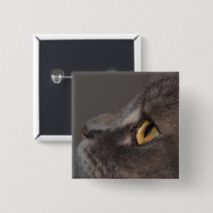 Cat Eye-Macro von Shirley Taylor Button