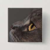 Cat Eye-Macro von Shirley Taylor Button (Vorderseite)
