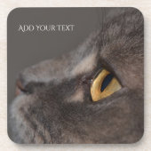 Cat Eye-Macro von Shirley Taylor Getränkeuntersetzer (Vorderseite)