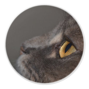 Cat Eye-Macro von Shirley Taylor Keramikknauf