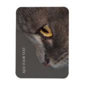 Cat Eye-Macro von Shirley Taylor Magnet (Vertikal)
