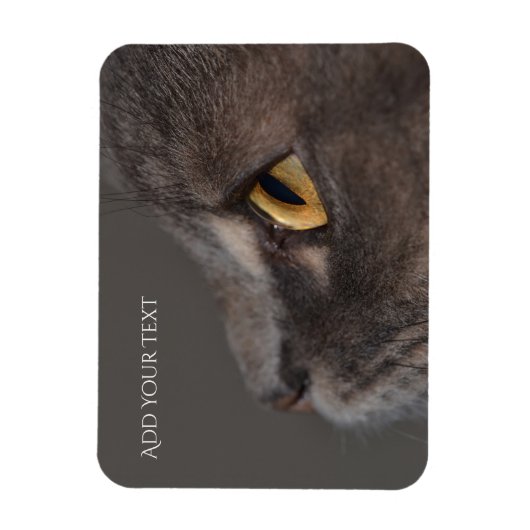 Cat Eye-Macro von Shirley Taylor Magnet (Vertikal)