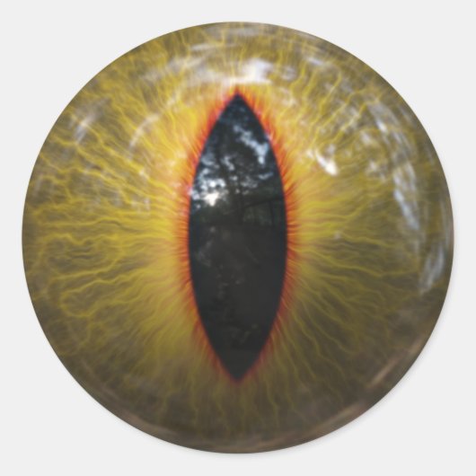 Cat Eye Runder Aufkleber (Vorderseite)