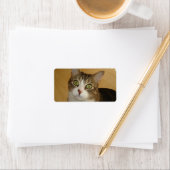 Cat Eyes Adressaufkleber (Insitu)