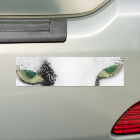 Cat Eyes Autoaufkleber (Auf Auto)