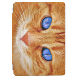 Cat Eyes Cat Eyes Face Tiger- iPad Air Hülle