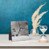 Cat Eyes Fotoplatte (InSitu)