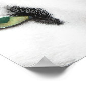 Cat Eyes Poster (Ecke)
