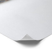 Cat Eyes Poster (Ecke)