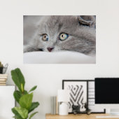 Cat Eyes Poster (Heimbüro)