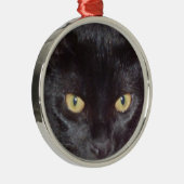 Cat Eyes Silbernes Ornament (Rechts)