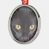 Cat Eyes Silbernes Ornament (Links)