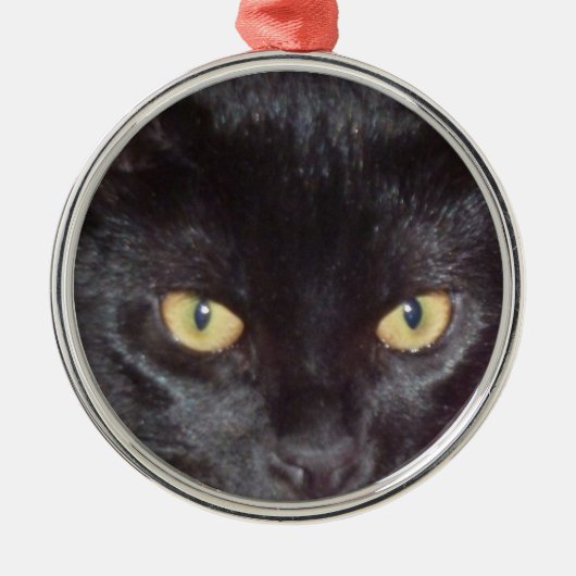 Cat Eyes Silbernes Ornament (Vorne)