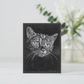 Cat Face Gezeichnet von Mark Edward Westerfield Postkarte (Stehend Vorderseite)