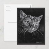 Cat Face Gezeichnet von Mark Edward Westerfield Postkarte (Vorne/Hinten)