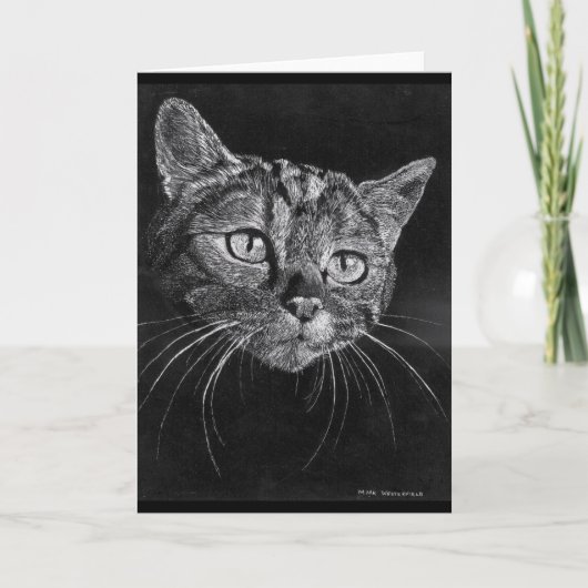 Cat Face leere Karte. Feiertagskarte (Vorderseite)