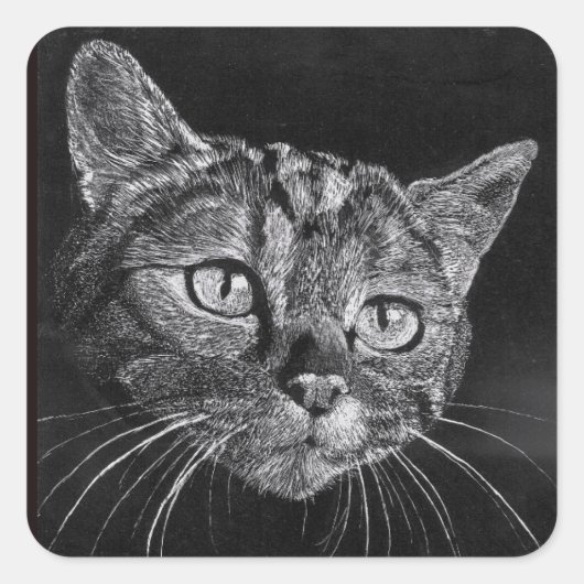 Cat Face meine High School zeichnend Quadratischer Aufkleber (Vorderseite)