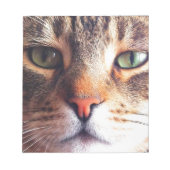 Cat Face Notizblock (Vorderseite)