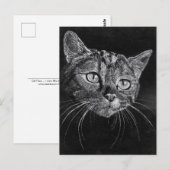 Cat Face Postkarte (Vorne/Hinten)