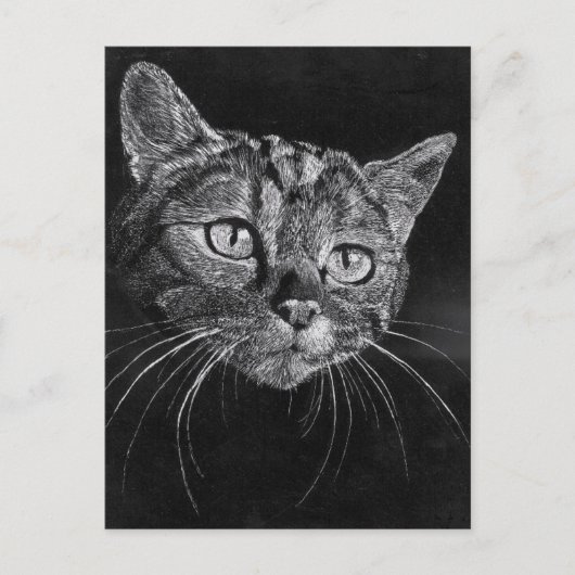 Cat Face Postkarte (Vorderseite)