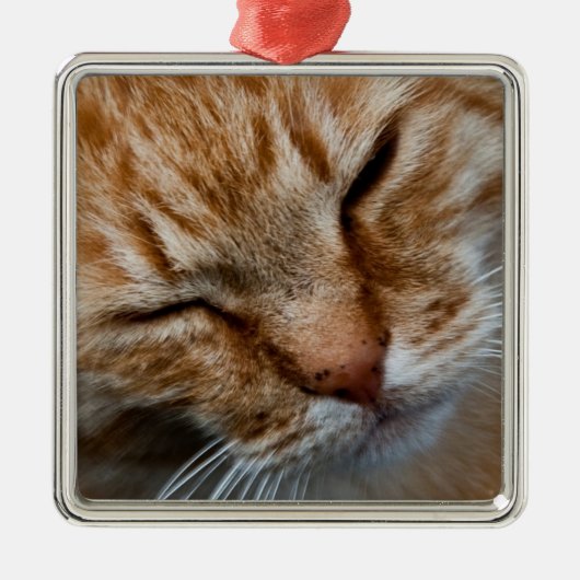 Cat face Premium Square Ornament (Vorne)