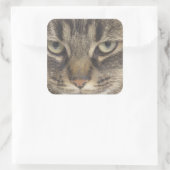 Cat Face Quadratischer Aufkleber (Tasche)