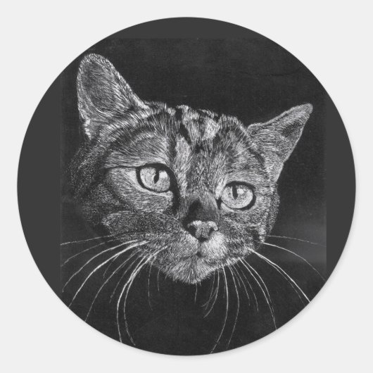 Cat-Face-Sticker Runder Aufkleber (Vorderseite)