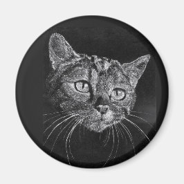 Cat Face Zeichnend Magnet