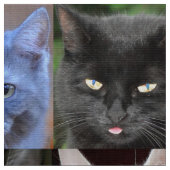 Cat Faces Collage Nähwerkstoff Stoff (Nahaufnahme)