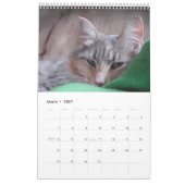 Cat Faces Kalender (Mär 2027)