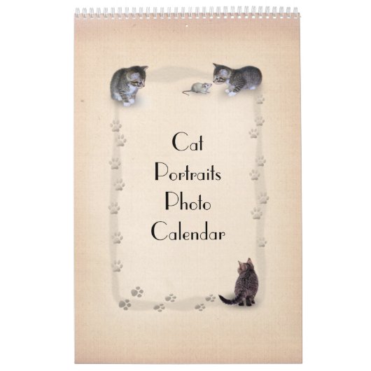 Cat Faces Kalender (Titelbild)