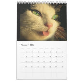 Cat Faces Kalender (Feb 2026)