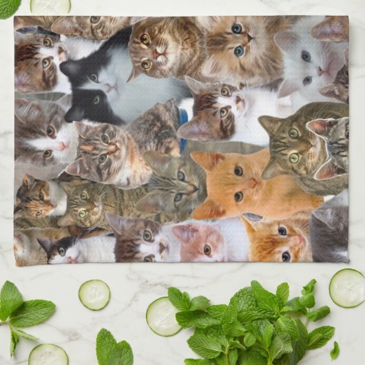 Cat Faces Muster Geschirrtuch (Gefaltet)