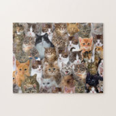Cat Faces Muster Puzzle (Horizontal)